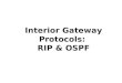 1 Interior Gateway Protocols: RIP & OSPF. 2 q Routing Tables & static routing q Dynamic routing (inter- and intra-domain) q Distance vector vs Link state