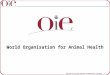 OIE World Animal Health Information Systems (WAHIS) 1 World Organisation for Animal Health