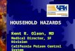 HOUSEHOLD HAZARDS Kent R. Olson, MD Medical Director, SF Division California Poison Control System