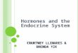C OURTNEY L LINARES & B RENDA Y IK Hormones and the Endocrine System