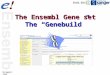 The Ensembl Gene set The “Genebuild” 21 April 2008