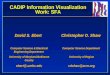 CADIP Information Visualization Work: SFA David S. Ebert Computer Science & Electrical Engineering Department University of Maryland Baltimore County ebert@.umbc.edu