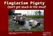 Plagiarism Pigsty Don’t get stuck in the mud! Linda McSweeney Spaulding High School Last updated 9/23/2008