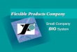 Flexible Products Company Small Company BIG System