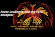 Acute Leukemia and the FLT3 Receptor By: Betty Sa’ Mentor: Dr. Govind Bhagat Site: Columbia University Vanderbilt Clinic