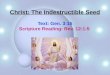 Christ: The Indestructible Seed Text: Gen. 3:15 Scripture Reading: Rev. 12:1-5