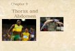 Thorax and Abdomen Chapter 9. Evaluation of Thorax and Abdomen Injuries are less common than extremity Injuries Can be Life Threatening These Injuries