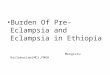 Burden Of Pre-Eclampsia and Eclampsia in Ethiopia Mengistu Hailemariam(MD),FMOH