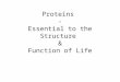 Proteins - Essential to the Structure & Function of Life