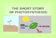 THE SHORT STORY OF PHOTOSYNTHESIS:. Photosynthesis converts light energy to chemical energy. (glucose + fructose = sucrose)