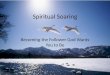 Spiritual Soaring Becoming the Follower God Wants You to Be