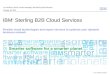 © 2011 IBM Corporation IBM ® Sterling B2B Cloud Services Flexible cloud technologies and expert services to optimize your dynamic business network Lori