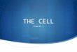 THE CELL Chapter 1. DO NOW 1.1. Do we have eukaryotic or prokaryotic cells?