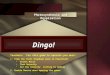 Copyright © 2004 Glenna R. Shaw & FTC Publishing Dingo! Photosynthesis and Respiration Teachers: For this game to operate you must: 1.From the Tools dropdown