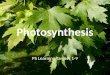 Photosynthesis PS Learning Targets 1-9. LT’s 1-3:Energy and Old Dead Dudes LT’s 4 & 5:Light and Structures of PS LT’s 6-8:Reactions and Factors of PS