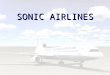 SONIC AIRLINES. SONIC AIRLINE Introduction Initiated since 1998 Effectively working for last 2 years Luxury passenger plane for the first time Now it