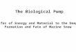 Transfer of Energy and Material to the Deep Sea Formation and Fate of Marine Snow The Biological Pump