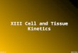 Ahmed GroupLecture 13 XIII Cell and Tissue Kinetics