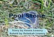 Pool Stone Story by Emma Lowery Retold by Rebekah Lowery