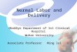 Normal Labor and Delivery Obs&Gyn Department of 1st Clinical Hospital Wuhan University Associate Professor Ming lei （明蕾）