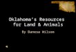 Oklahoma’s Resources for Land & Animals By Danesa Wilson