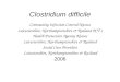 Clostridium difficile Community Infection Control Nurses Leicestershire, Northamptonshire & Rutland PCT ’ s Health Protection Agency Nurses Leicestershire,