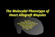 The Molecular Phenotype of Heart Allograft Biopsies Mario C Deng Associate Professor of Medicine Director of Cardiac Transplantation Research Center for