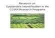 Research on Sustainable Intensification in the CGIAR Research Programs