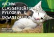 Http:// ANIMAL CLASSIFICATION, PYLOGENY & ORGANIZATION Roselyn Aperocho – Naranjo USPF, College of Pharmacy 