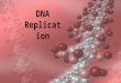 1 DNA Replication copyright cmassengale. 2 Anti- Parallel Strands of DNA