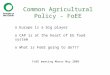 Common Agricultural Policy - FoEE FoEE meeting Monor May 2009 o Europe is a big player o CAP is at the heart of EU food system o What is FoEE going to