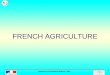 Department of International Relations– 2003 1 FRENCH AGRICULTURE