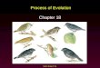 Mader: Biology 8 th Ed. Process of Evolution Chapter 18