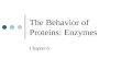 The Behavior of Proteins: Enzymes Chapter 6. Enzymes are effective biological catalysts Enzyme: a biological catalyst that can speed up the rate of a