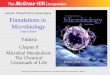 Foundations in Microbiology Sixth Edition Chapter 8 Microbial Metabolism: The Chemical Crossroads of Life Lecture PowerPoint to accompany Talaro Copyright