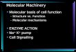 Molecular Machinery Molecular basis of cell function –Structure vs. Function –Molecular mechanisms ENZYME ACTION Na + K + pump Cell Signalling