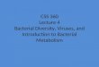 CSS 360 Lecture 4 Bacterial Diversity, Viruses, and Introduction to Bacterial Metabolism