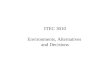 ITEC 3010 Environments, Alternatives and Decisions
