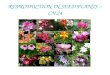 REPRODUCTION IN SEED PLANTS – CH.24. COMPLETE (PERFECT) FLOWERS COMPLETE FLOWERS HAVE 4 TYPICAL FLOWER PARTS: STAMENS, PISTILS, SEPALS, AND PETALS. THE