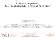 A Nexus Approach for Sustainable Intensification Holger Hoff Stockholm Environment Institute Potsdam Institute for Climate Impact Research Ressourcennutzung