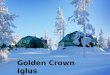 Golden Crown Iglus. Golden Crown Iglus is located 10 kilometres from Levi, middle of nature. There you can experience the arctic nature in a unique and