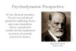 Psychodynamic Perspective In his clinical practice, Freud encountered patients suffering from nervous disorders. Their complaints could not be explained