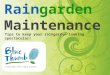 Raingarden Maintenance Tips to keep your raingarden looking spectacular!