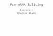 Pre-mRNA Splicing Lecture 1 Douglas Black. Fig. 12-2 The most complex RNA processing reaction is pre-mRNA splicing. Most genes in metazoan (multicellular)
