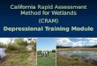 California Rapid Assessment Method for Wetlands (CRAM) Depressional Training Module