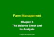 © Mcgraw-Hill Companies, 2008 Farm Management Chapter 5 The Balance Sheet and Its Analysis