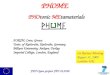 PHOME PHOtonic MEtamaterials FORTH, Crete, Greece Univ. of Karlsruhe, Karlsruhe, Germany Bilkent University, Ankara, Turkey Imperial College, London, England