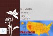 Made By Sarah Gehrke NEVADA Geographer State Capital : Carson City Western Region 3 Major Cities :Sparks, Las Vegas, Reno Climate :Semiarid, Arid