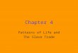 Chapter 4 Patterns of Life and The Slave Trade. Hunting families consisted of a few nuclear families. Farmers and herders were more likely to have extended