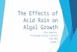 The Effects of Acid Rain on Algal Growth Alex Zapinski Pittsburgh Central Catholic PJAS 2015 Grade 9